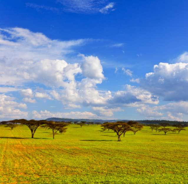 African landscape