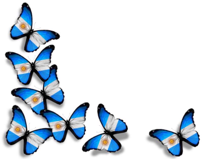 Argentine flag butterflies, isolated on white background