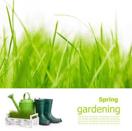 Gardening  board concept