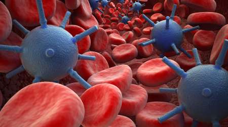 Blood Cells and virus