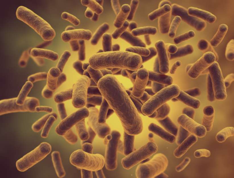 Bacteria high resolution 3d render