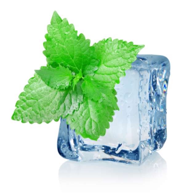 Ice cube and mint