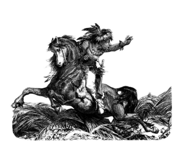 Trad. Indian Riding