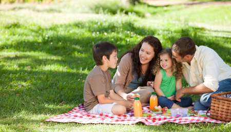 Family  picnicking together