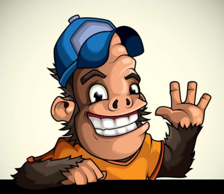 Monkey in the cap of welcomes