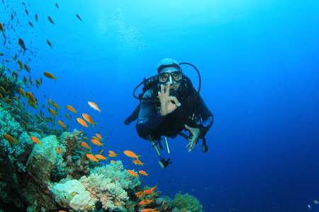 Scuba Diver explores coral reef