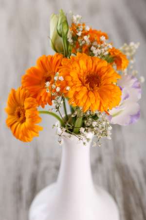 Calendula flowers in vase on wooden background