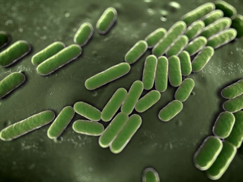 3d rendered scientific illustration of some bacteria
