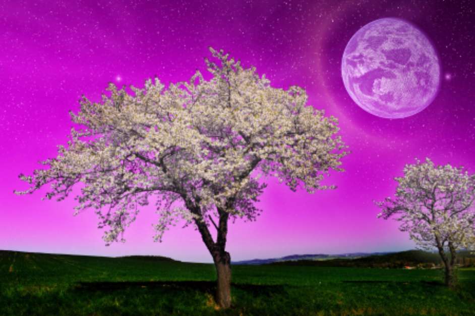 Fantasy night landscape