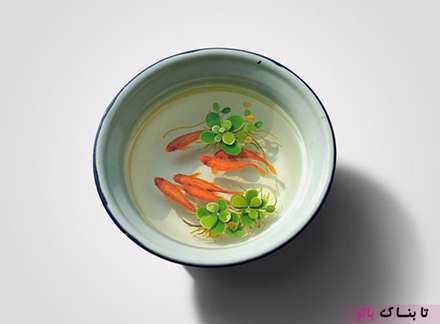 نقاشی های سه بعدی باورنکردنی از موجودات دریایی