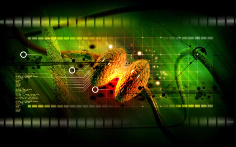 Synapse