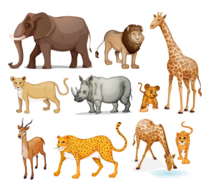 Animals
