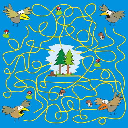 maze - birds