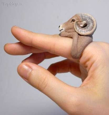 انگشتر ها و حلقه های حیوانی