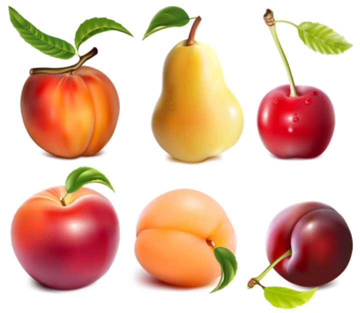 Collection of vector fruits.