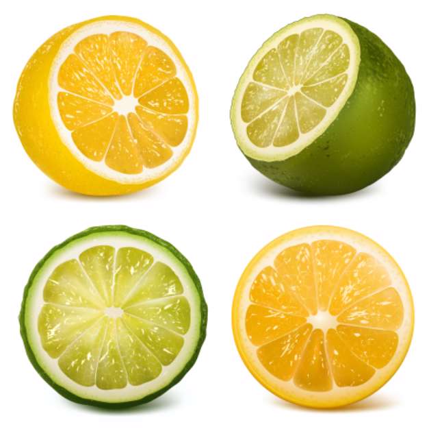 Vector citrus fruits  lime and lemon.