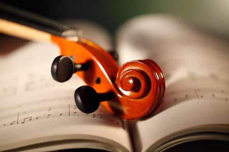 violino