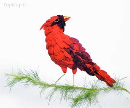 خلق پرنده با گلبرگ