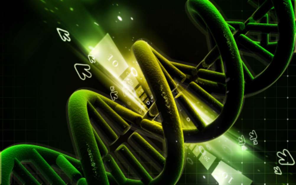 DNA