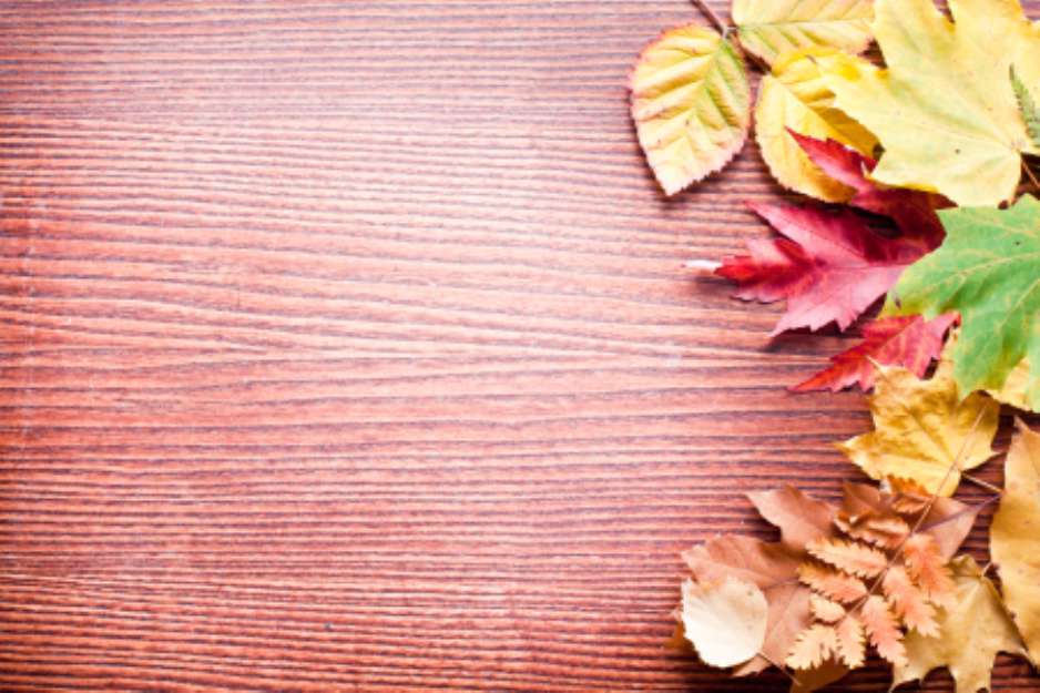 Autumn leaves.
