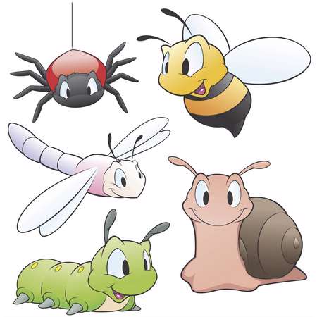 Cartoon Insects