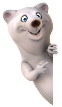 White bear