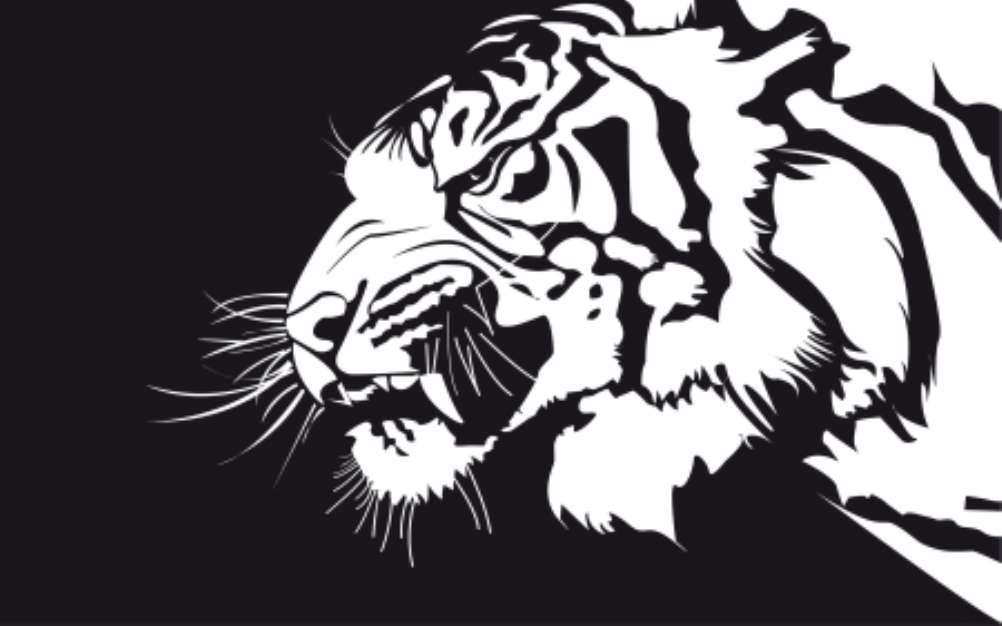tiger