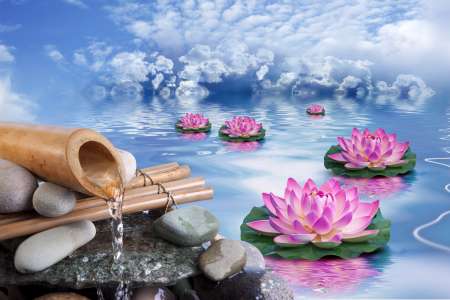 Spa beautأ© et bien-أھtre