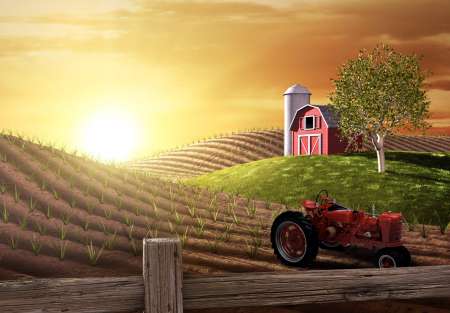 Morning on the Farm