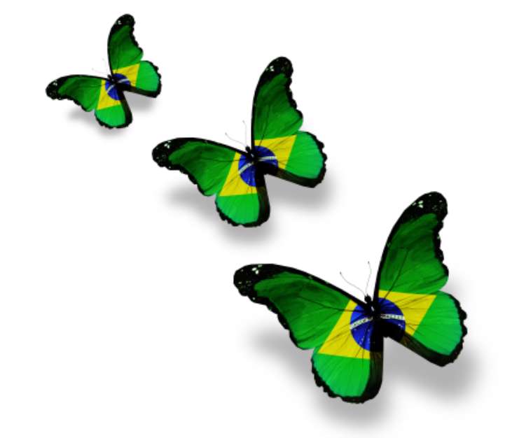 Three Brazilian flag butterflies, isolated on white