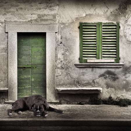 boxer solo sulla porta