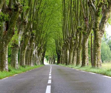 road