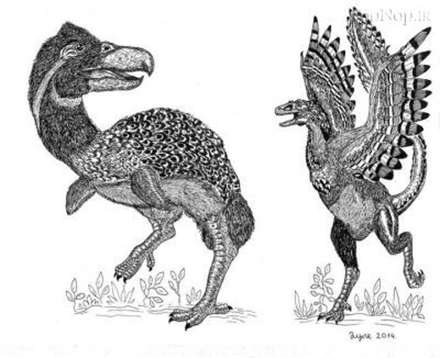 پسری 11 ساله با استعدادی شگفت انگیز