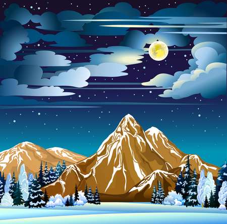 Winter night landscape
