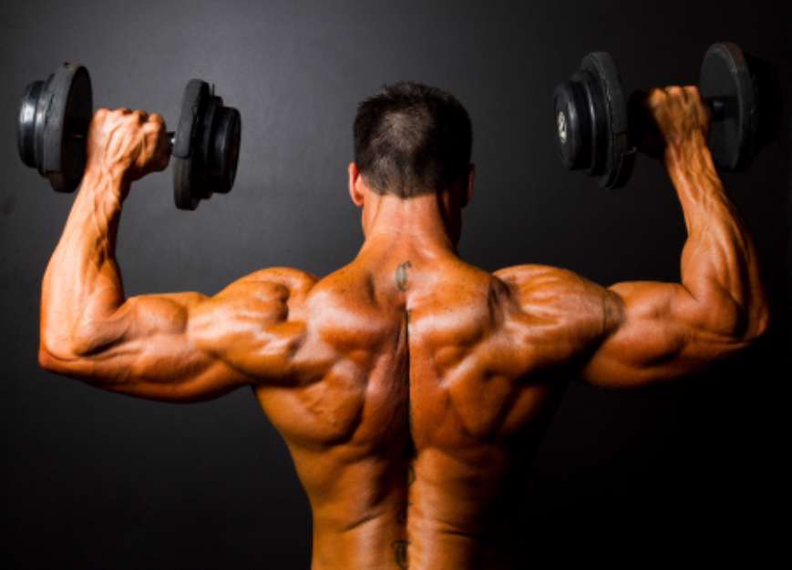 rear view of bodybuilder training with dumbbells