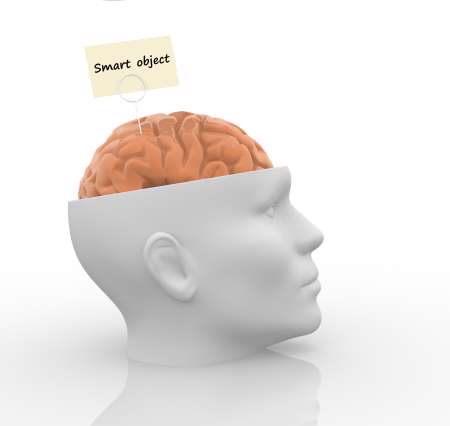 Brain