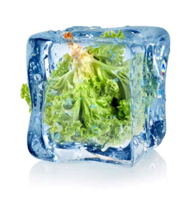Ice cube and lettuce
