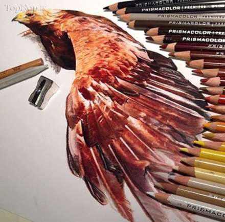 نقاشی های حیرت انگیز با مداد رنگی