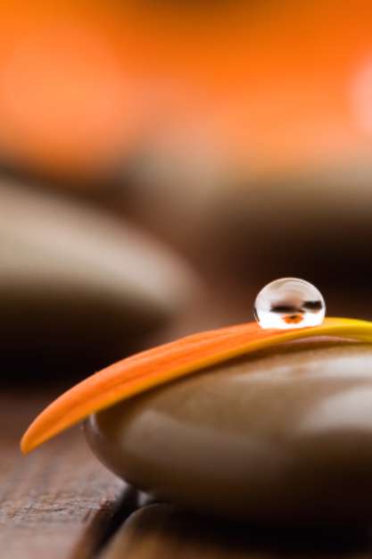 Orange flower petal with drop of water