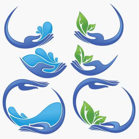 clean women hands, fresh water and green leaves