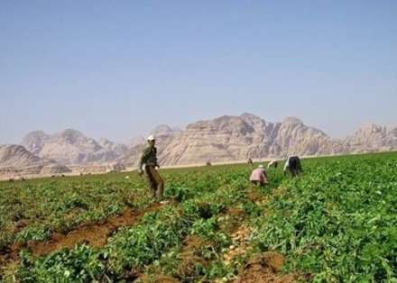 مزارع دایره ای در مغرب