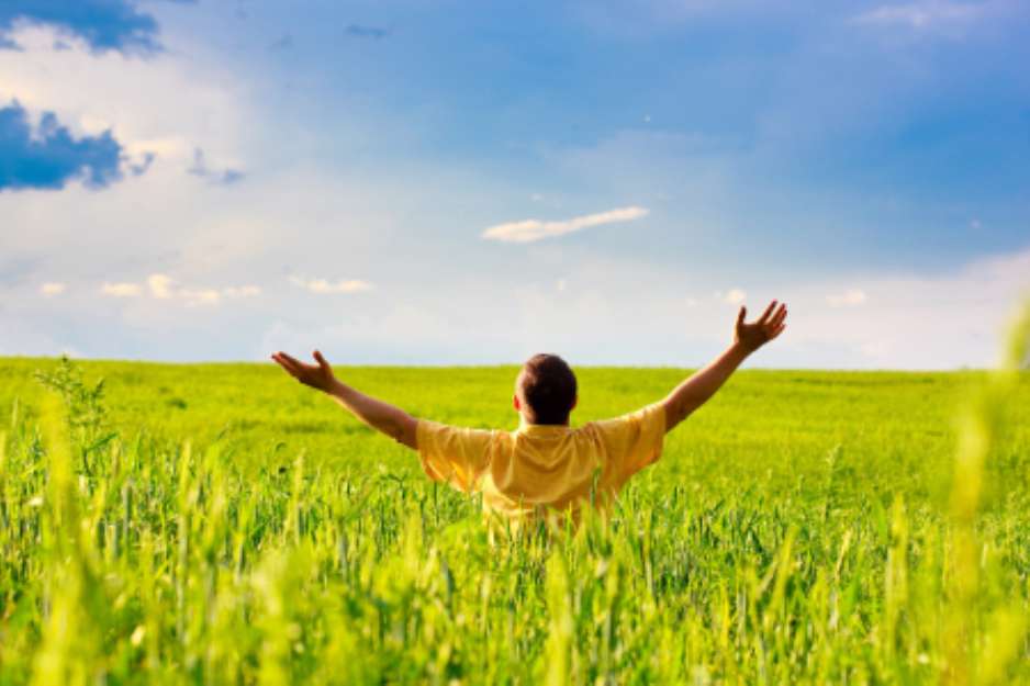 man in sunny field