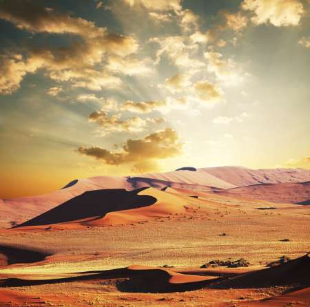 Desert