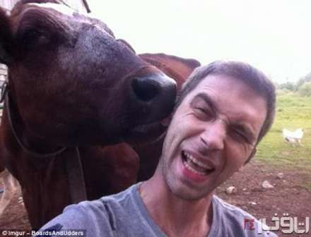 حمله حيوانات به توريست ها