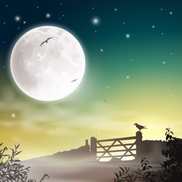 Farm Gate