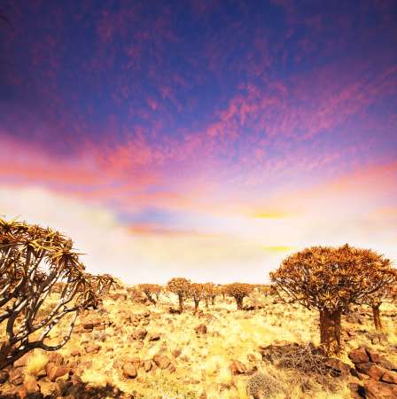 Africa
