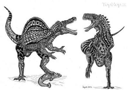 پسری 11 ساله با استعدادی شگفت انگیز