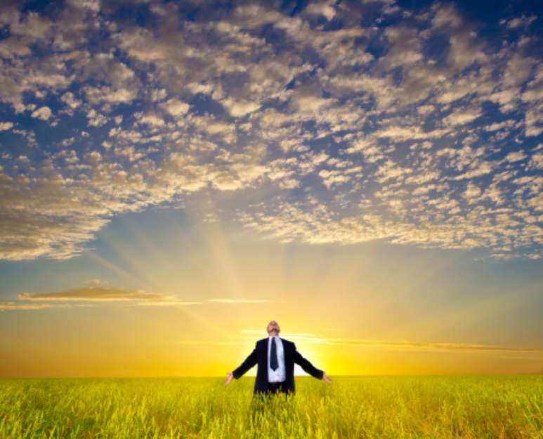 businessman on field