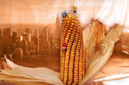 زندگی انسان هاي مینیاتوری