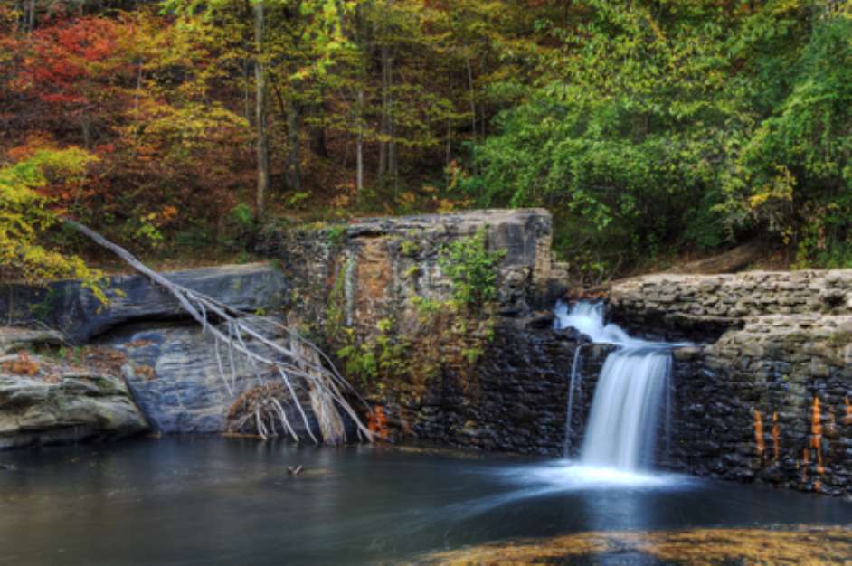 Broken Dam in the Woods